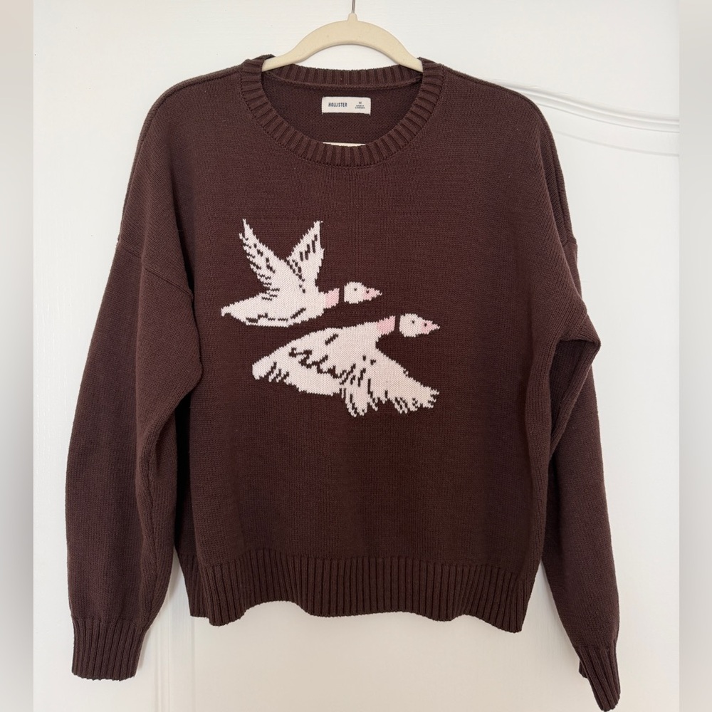 Hollister Brown Crewneck Sweater with White/Pink Duck Motif